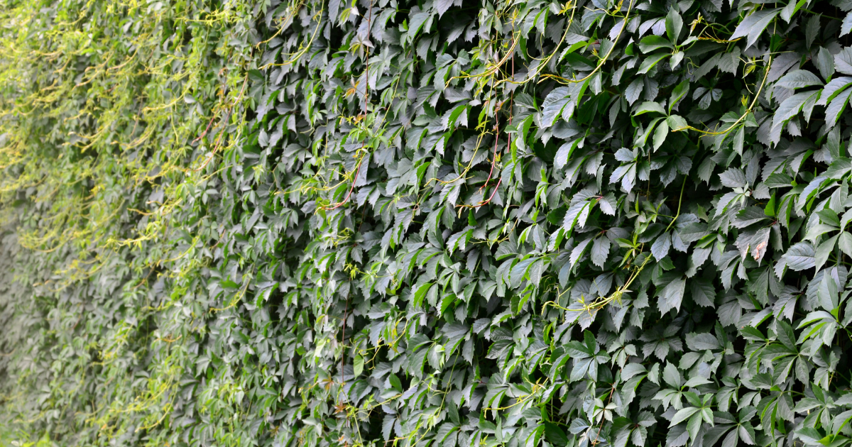 緑地として認められるのはどこまで？〜人工芝・自然林・水田などの取扱い〜